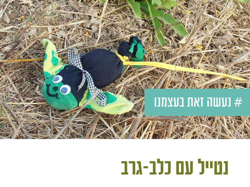 פעילות בנחת כלב גרב