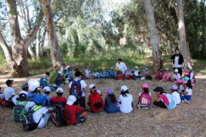 כיתה יושבת במעגל חינוך חוץ למידה חוץ כיתתית